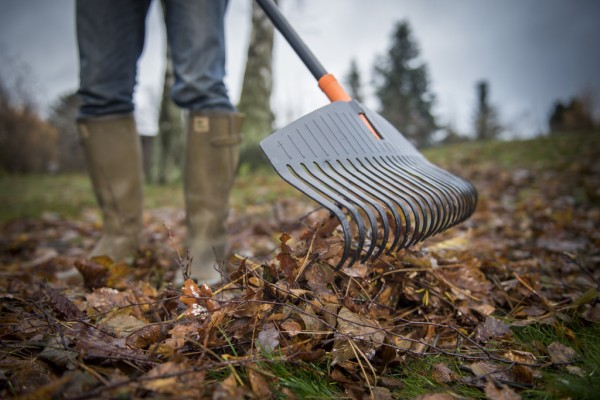 Grebla frunze Solid cu coada L Fiskars