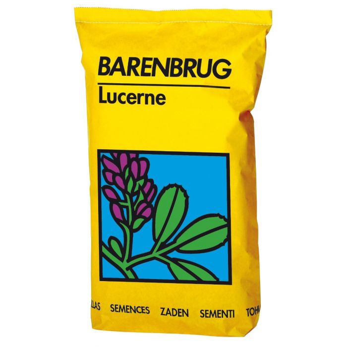 Seminte lucerna ALESIS 25kg