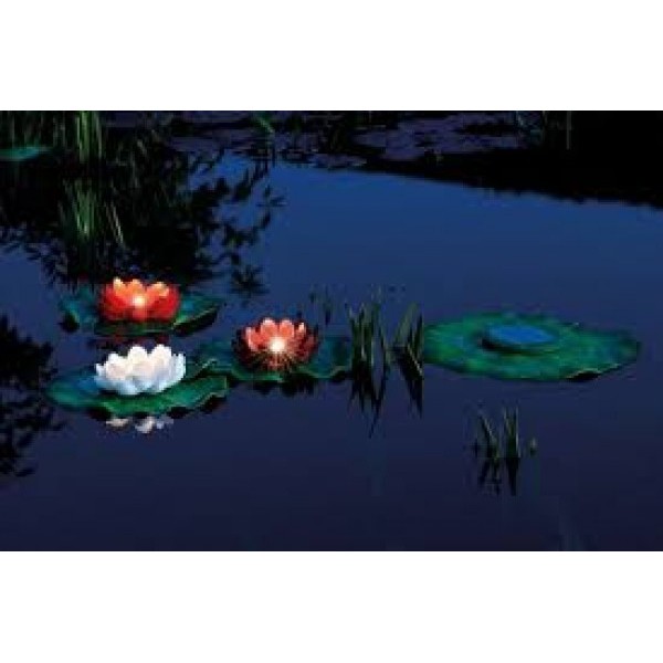 Set iluminare cu nuferi PONTEC Pondosolar Lily led set3