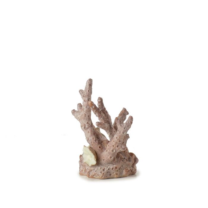 Sculptura decorativa coral mic