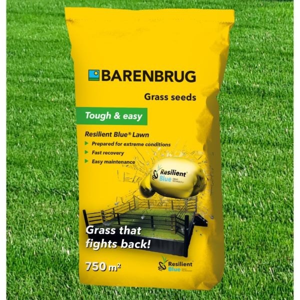 Seminte gazon Barenbrug Resilient Blue Lawn 15kg